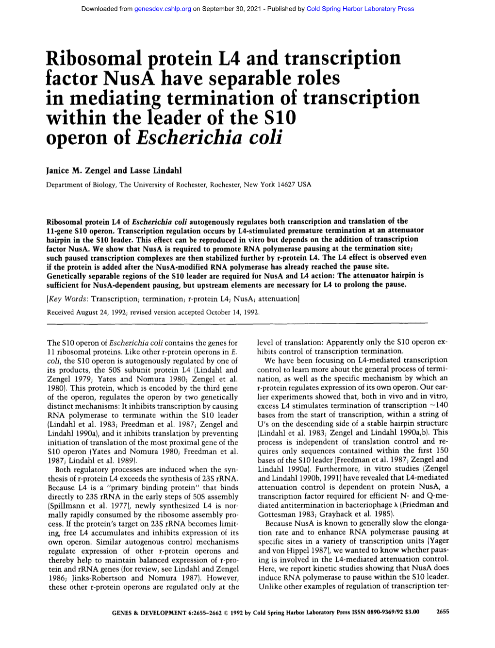 Ribosomal Protein L4 and Transcription Factor Nusa Have