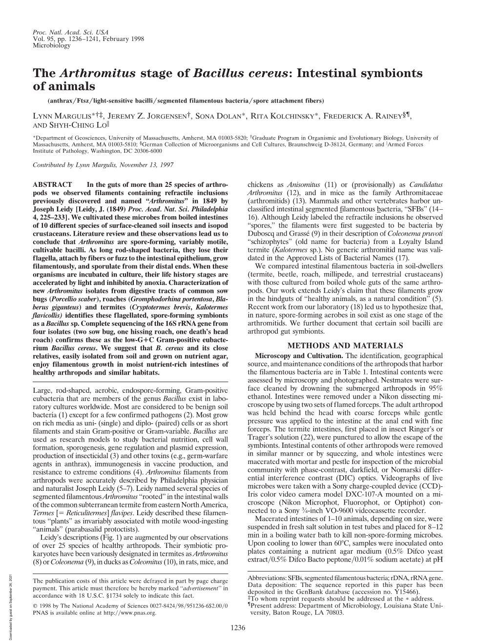 The Arthromitus Stage of Bacillus Cereus