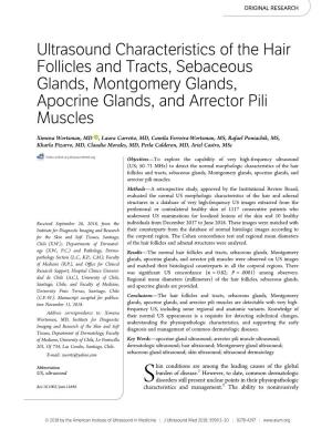 Ultrasound Characteristics of the Hair Follicles and Tracts, Sebaceous Glands, Montgomery Glands, Apocrine Glands, and Arrector Pili Muscles