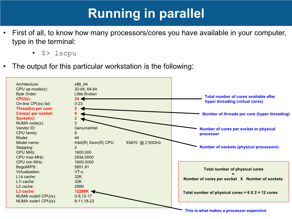 Running in Parallel