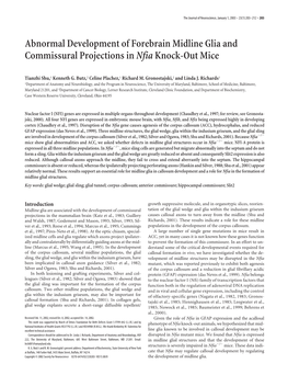Abnormal Development of Forebrain Midline Glia and Commissural Projections Innfiaknock-Out Mice