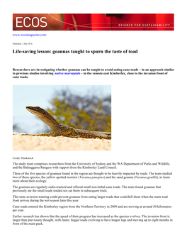 Life-Saving Lesson: Goannas Taught to Spurn the Taste of Toad