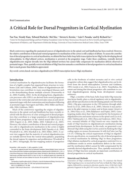 A Critical Role for Dorsal Progenitors in Cortical Myelination
