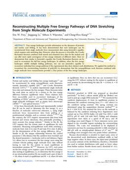 Reconstructing Multiple Free Energy Pathways of DNA Stretching from Single Molecule Experiments † † † † ‡ Eric W