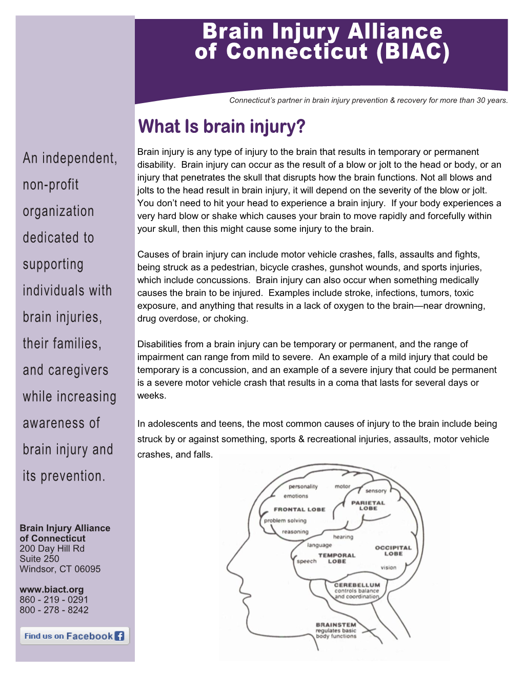 Brain Injury 101 Reading Assignment