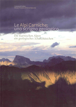 Die Karnischen Alpen Ein Geologisches Schatzkästchen
