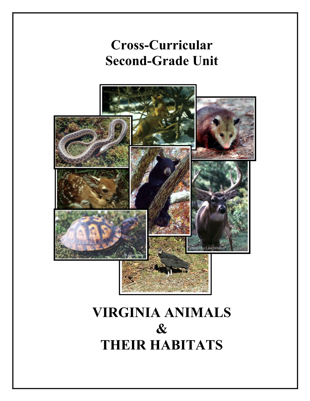 Virginia Animals and Their Habitats Grade Two Cross-Curricular Unit