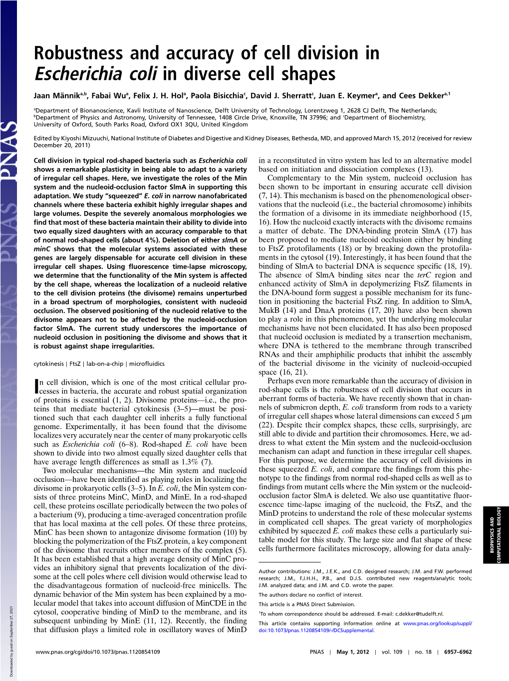 Robustness and Accuracy of Cell Division in Escherichia Coli in Diverse Cell Shapes