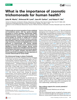 What Is the Importance of Zoonotic Trichomonads for Human Health?