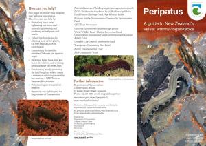 Peripatus: a Guide to New Zealand's Velvet Worms