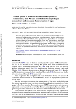 Two New Species of Bonnetina Tarantulas (Theraphosidae