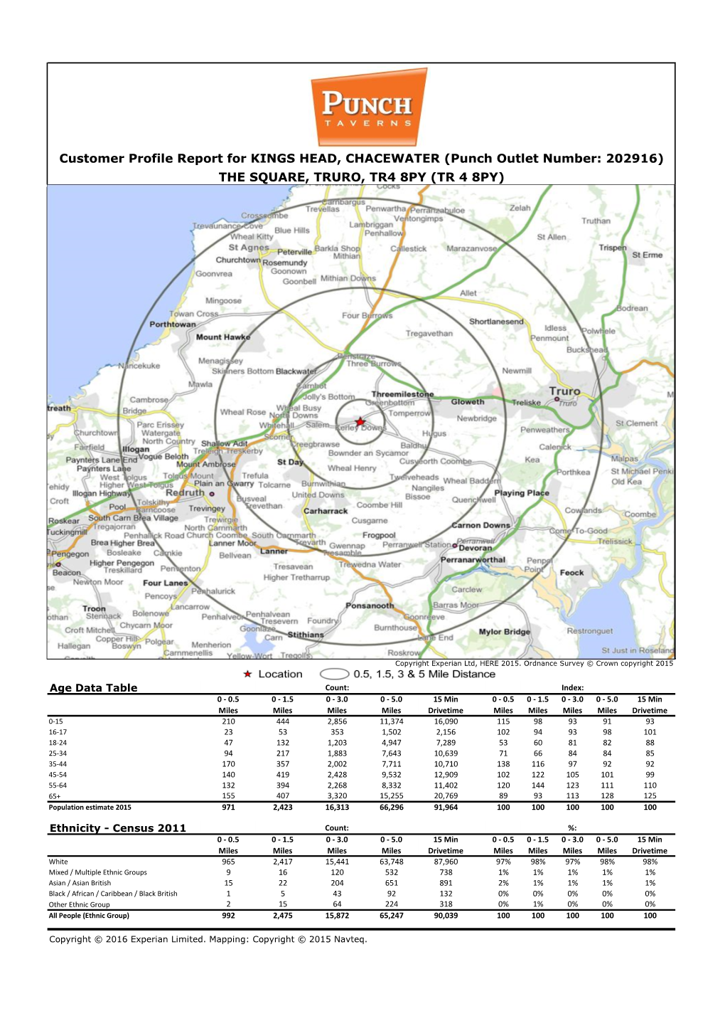 Customer Profile Report for KINGS HEAD, CHACEWATER (Punch Outlet Number: 202916) the SQUARE, TRURO, TR4 8PY (TR 4 8PY)