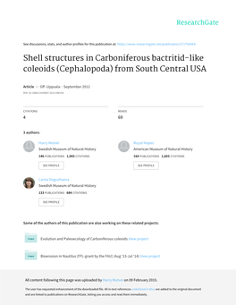 Shell Structures in Carboniferous Bactritid-Like Coleoids (Cephalopoda) from South Central USA