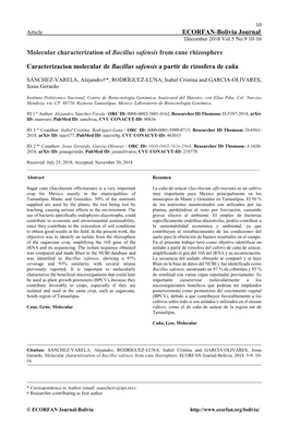 ECORFAN-Bolivia Journal Molecular Characterization of Bacillus Safensis
