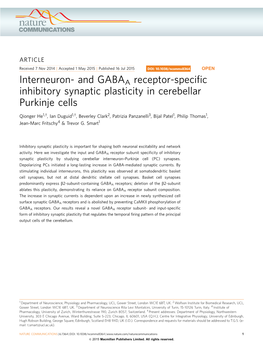 And GABAA Receptor-Specific Inhibitory Synaptic Plasticity