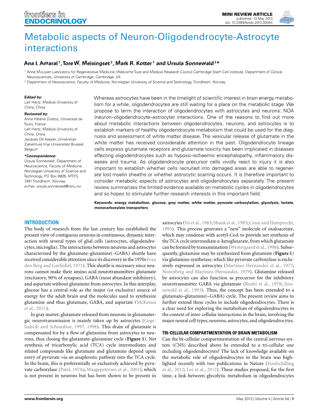 Metabolic Aspects of Neuron-Oligodendrocyte-Astrocyte Interactions