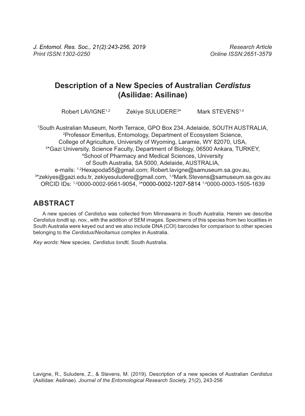 Description of a New Species of Australian Cerdistus (Asilidae: Asilinae)