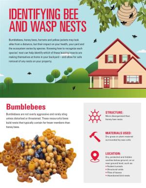Identifying Bee and Wasp Nests