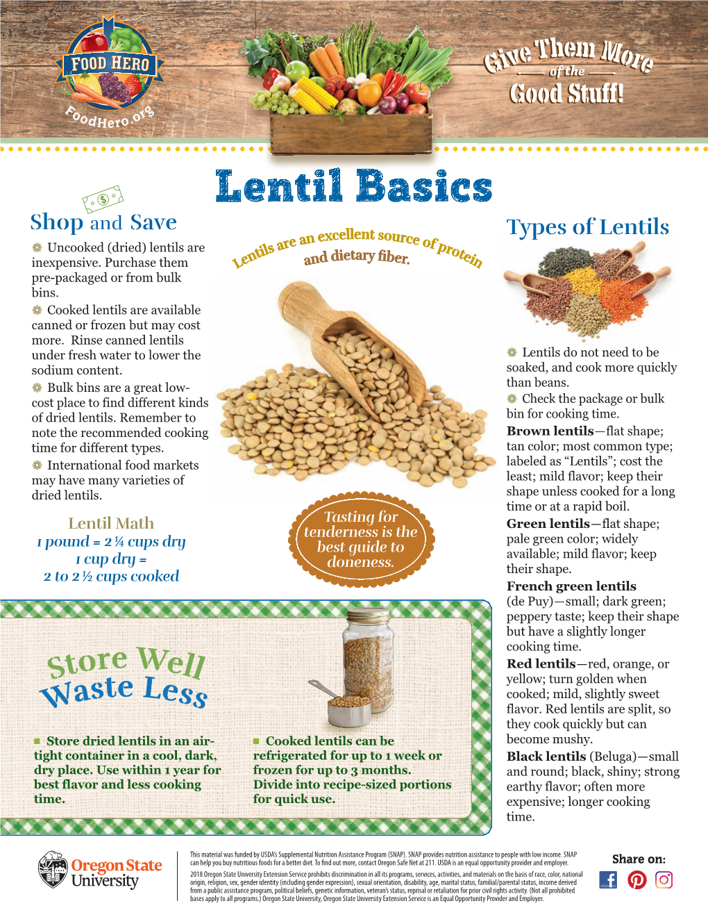 Lentil Basics