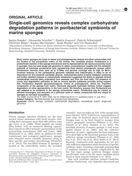 Single-Cell Genomics Reveals Complex Carbohydrate Degradation Patterns in Poribacterial Symbionts of Marine Sponges