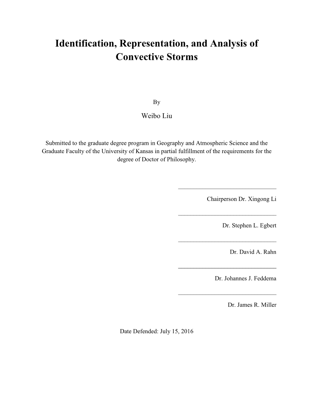 Identification, Representation, and Analysis of Convective Storms