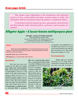 Alligator Apple – a Lesser-Known Multipurpose Plant