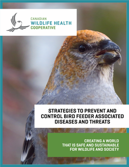 Strategies to Prevent and Control Bird-Feeder Associated Diseases and Threats