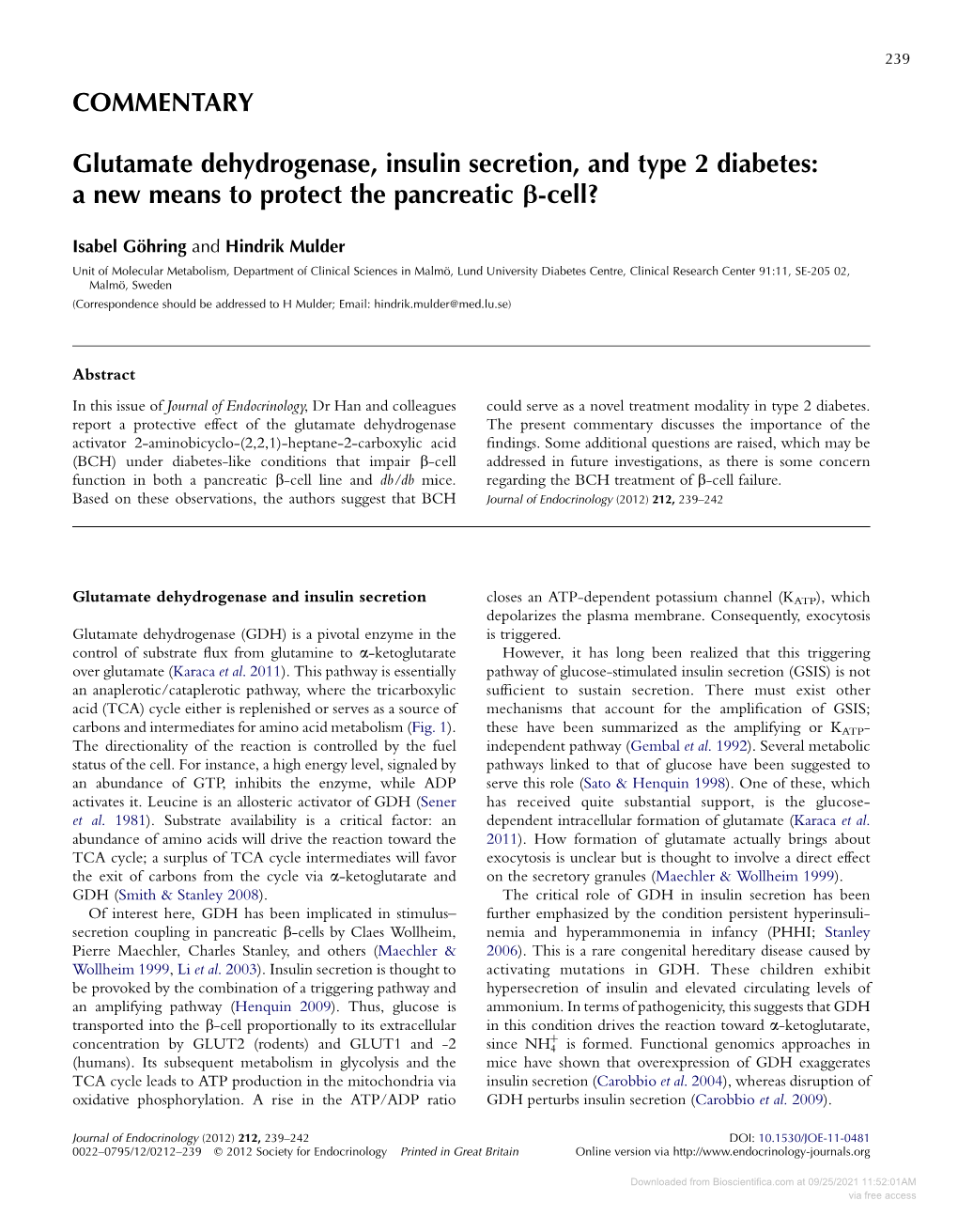 COMMENTARY Glutamate Dehydrogenase, Insulin Secretion