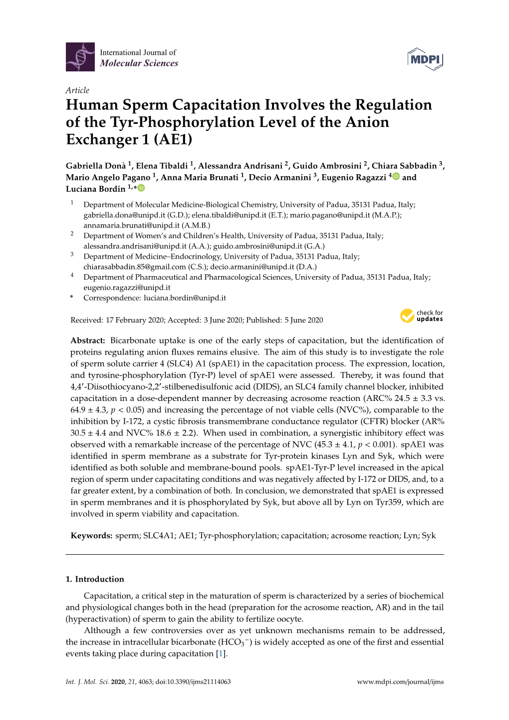 Human Sperm Capacitation Involves the Regulation of the Tyr-Phosphorylation Level of the Anion Exchanger 1 (AE1)