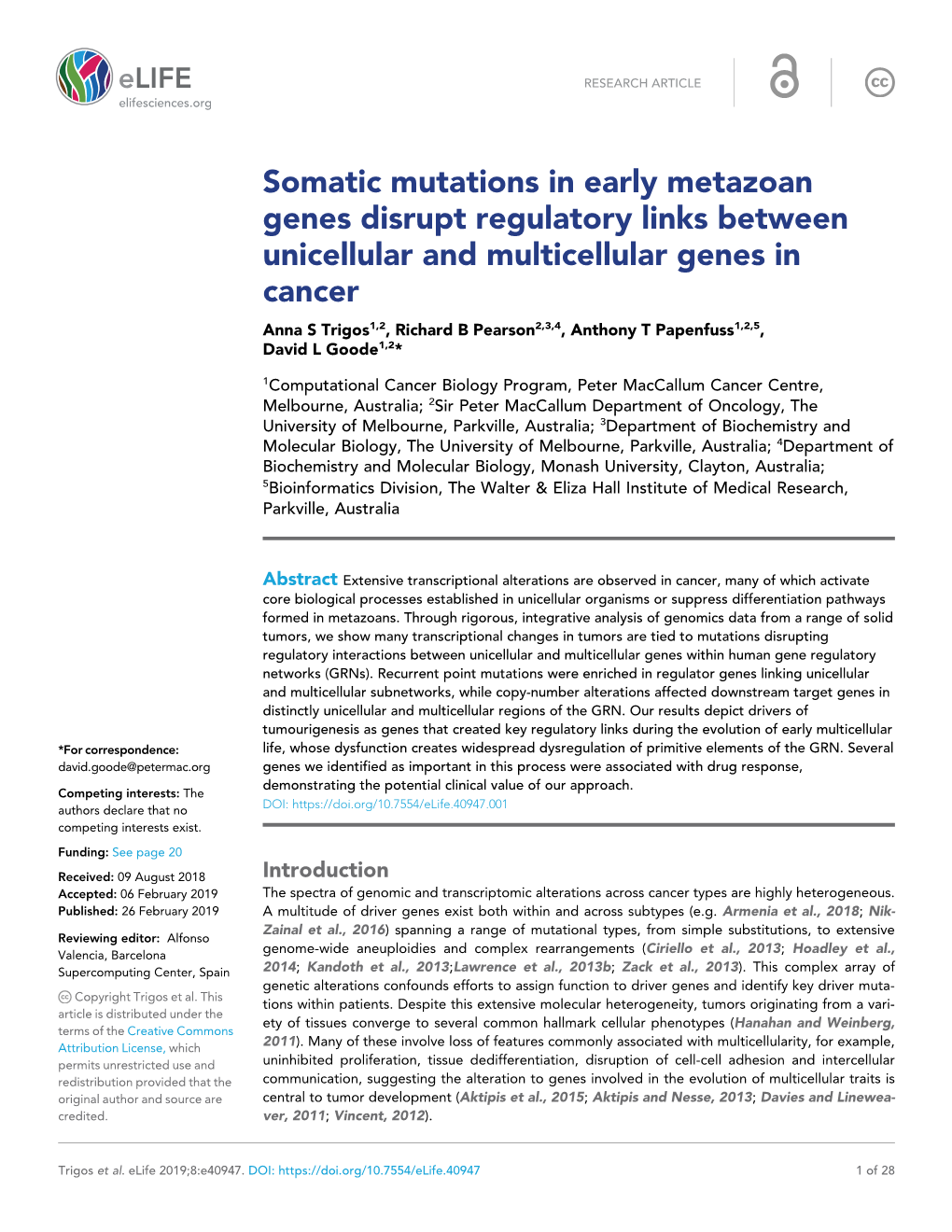 Somatic Mutations in Early Metazoan Genes Disrupt Regulatory Links Between Unicellular and Multicellular Genes in Cancer