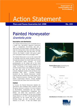 Painted Honeyeater (Grantiella Picta)