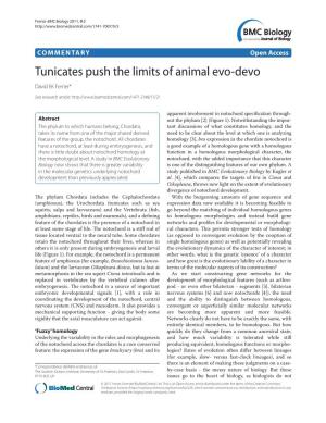 Tunicates Push the Limits of Animal Evo-Devo David EK Ferrier*