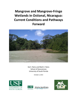 Mangrove and Mangrove-Fringe Wetlands in Ostional, Nicaragua: Current Conditions and Pathways Forward