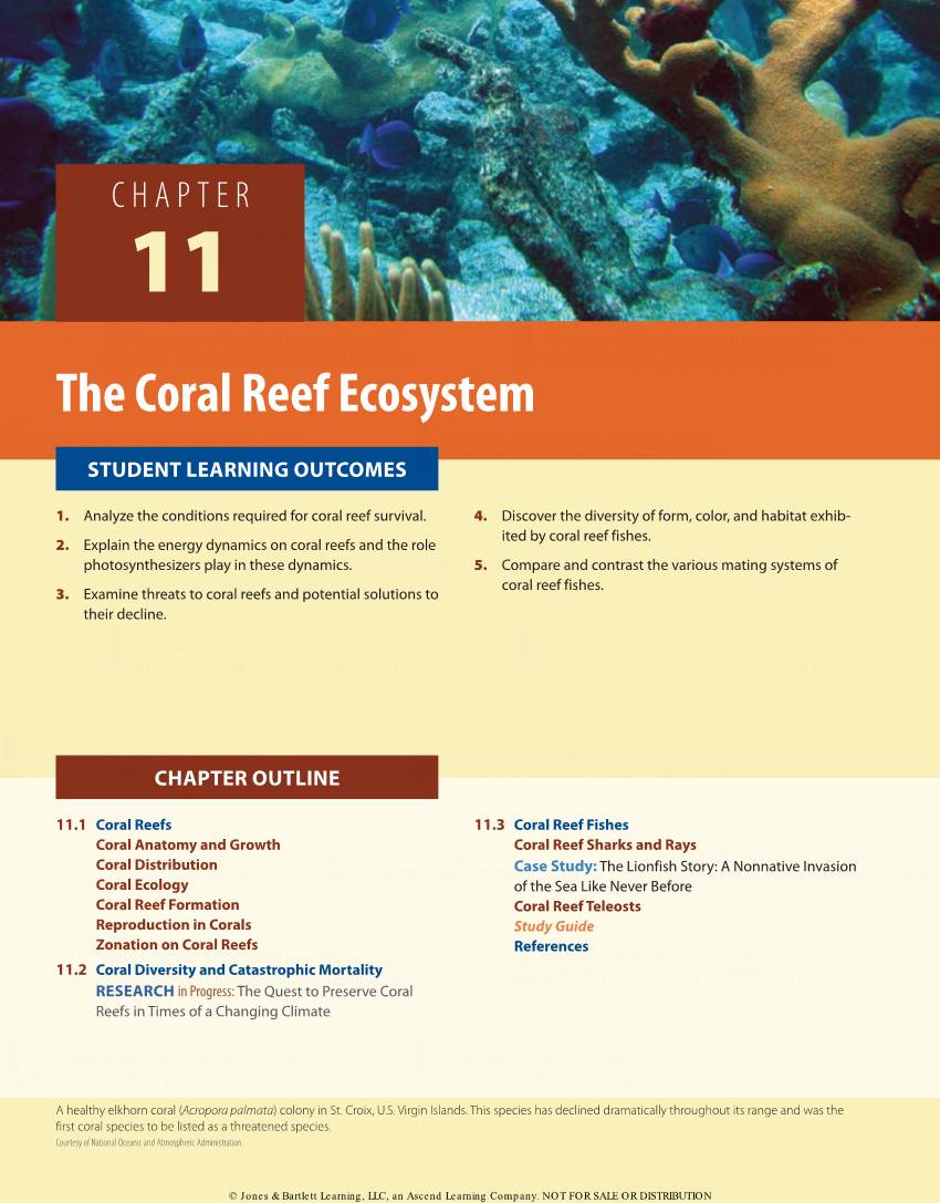 The Coral Reef Ecosystem