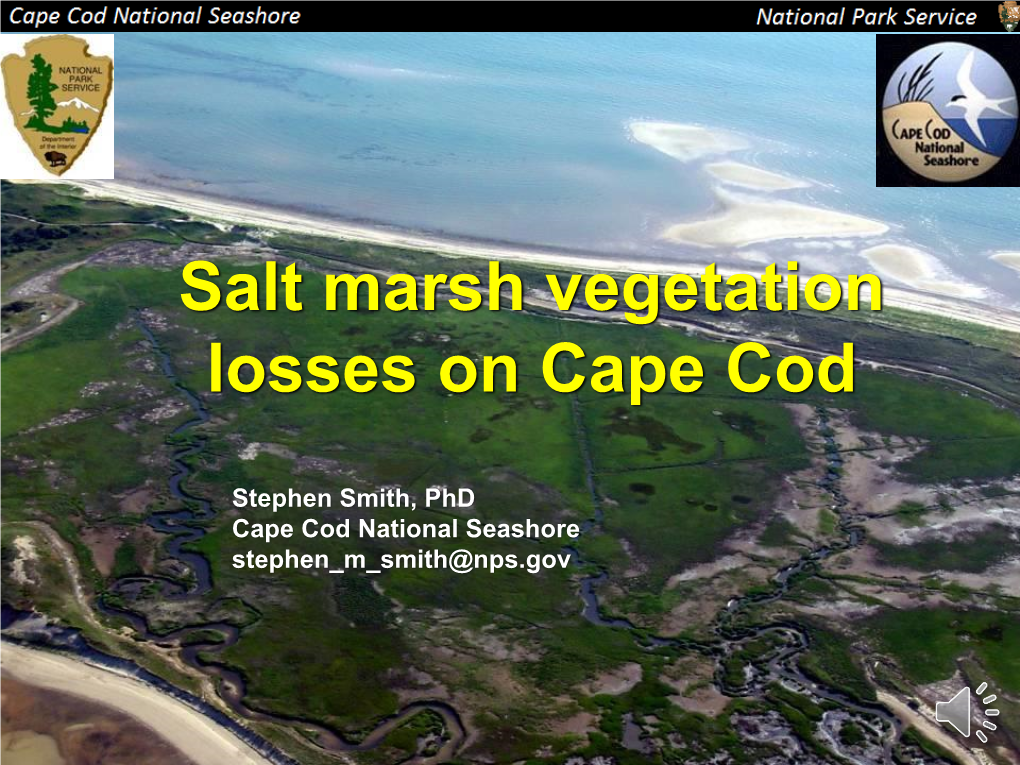 Salt Marsh Vegetation Losses on Cape Cod