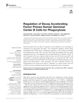 Regulation of Decay Accelerating Factor Primes Human Germinal Center B Cells for Phagocytosis