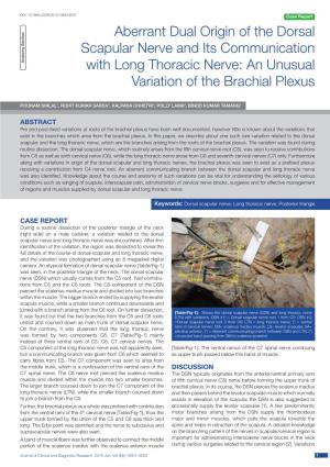 Aberrant Dual Origin of the Dorsal Scapular Nerve and Its Communication Anatomy Section with Long Thoracic Nerve: an Unusual Variation of the Brachial Plexus