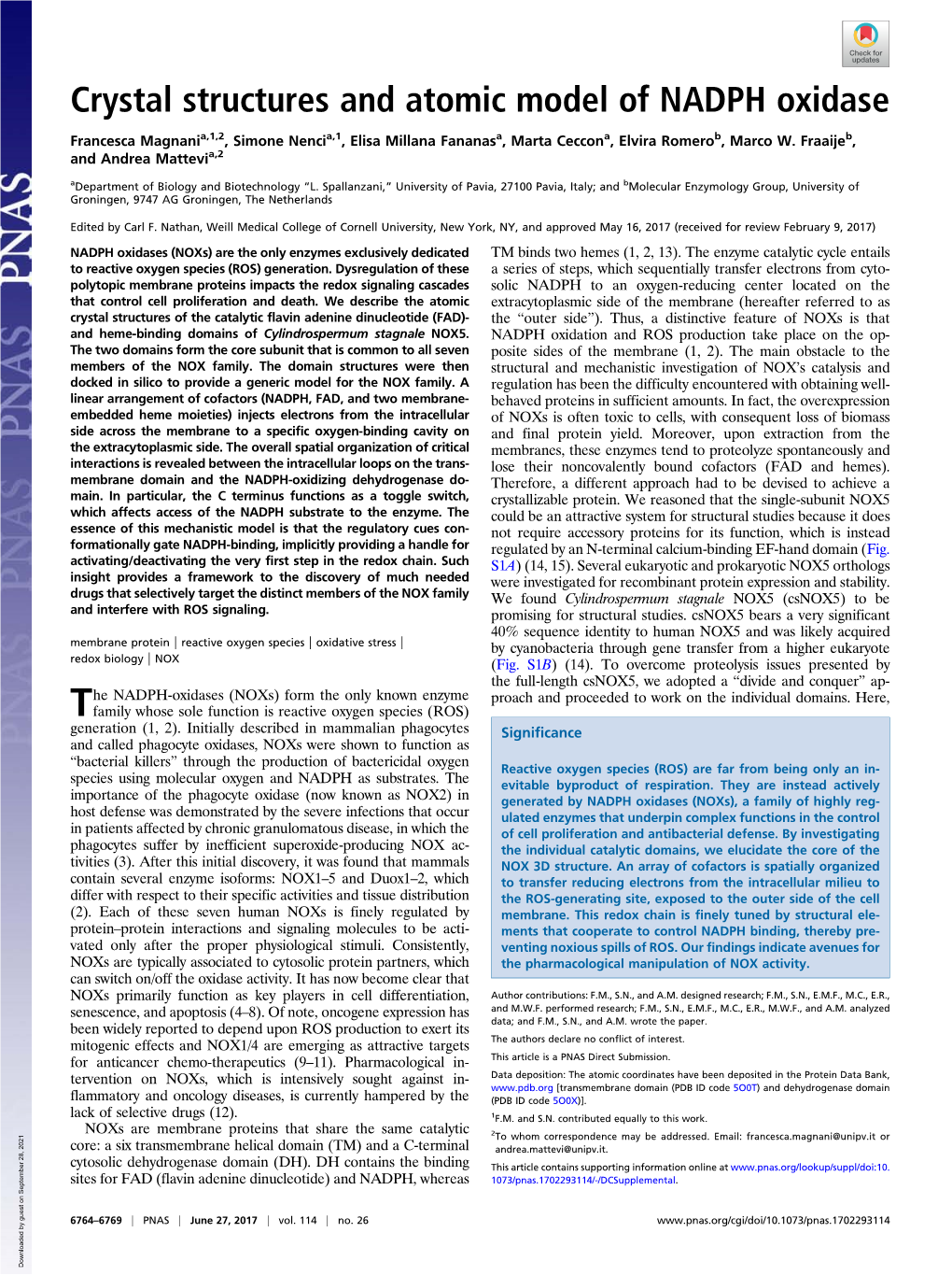 Crystal Structures and Atomic Model of NADPH Oxidase