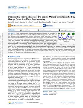 Disassembly Intermediates of the Brome Mosaic Virus Identified By