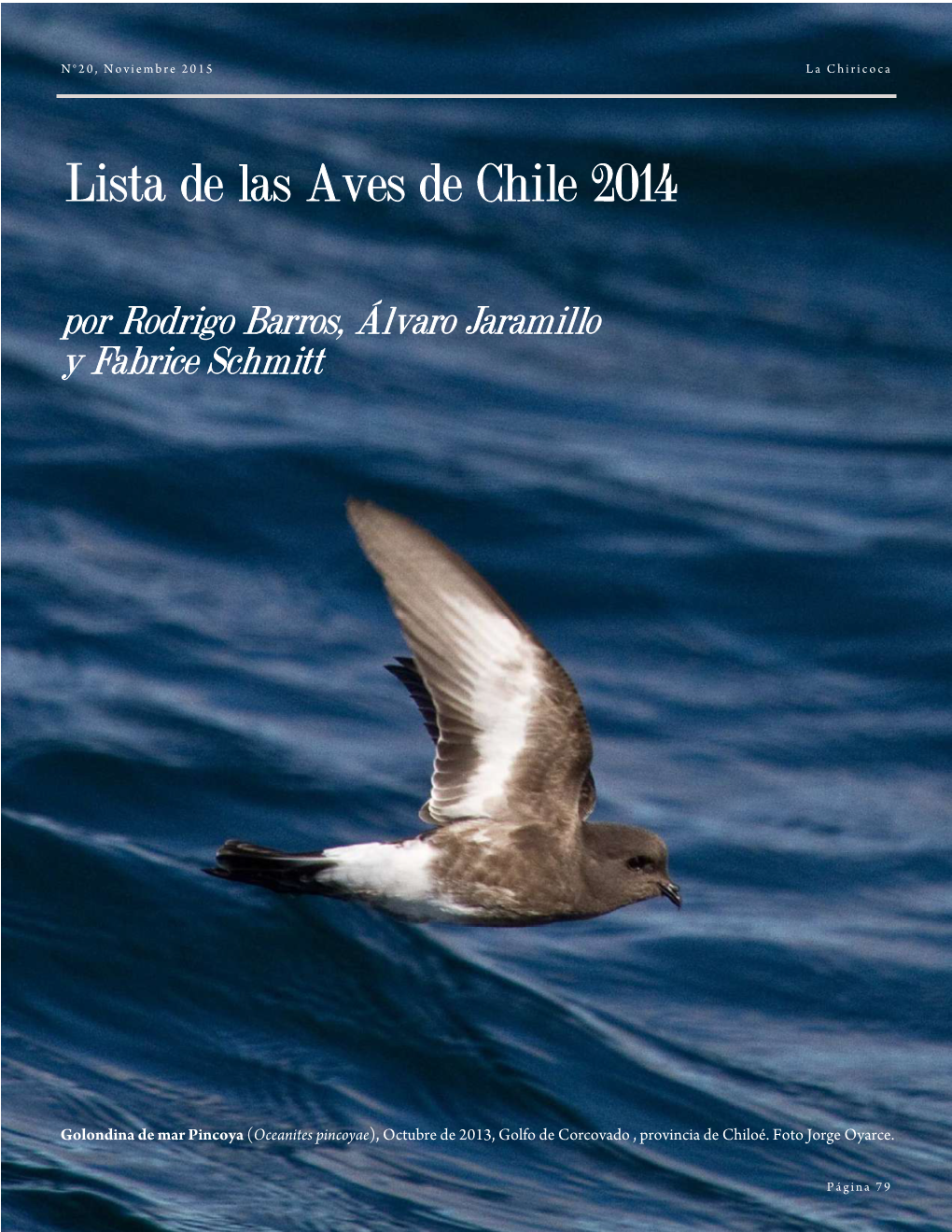 Lista De Las Aves De Chile 2014 Por Rodrigo Barros Álvaro Jaramillo Y Fabrice Schmitt Docslib