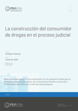 La Construcción Del Consumidor De Drogas En El Proceso Judicial