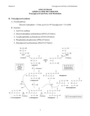 Handout 8 Triacylglycerol and Fatty Acid Metabolism ANSC/NUTR 618 LIPIDS & LIPID METABOLISM Triacylglycerol and Fatty Acid Metabolism