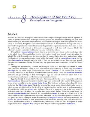 Chapter Development of the Fruit Fly Drosophila Melanogaster