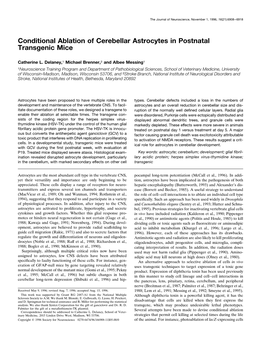 Conditional Ablation of Cerebellar Astrocytes in Postnatal Transgenic Mice