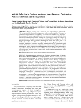 Meiotic Behavior in Panicum Maximum Jacq. (Poaceae: Panicoideae: Paniceae): Hybrids and Their Genitors