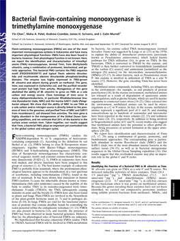 Bacterial Flavin-Containing Monooxygenase Is Trimethylamine