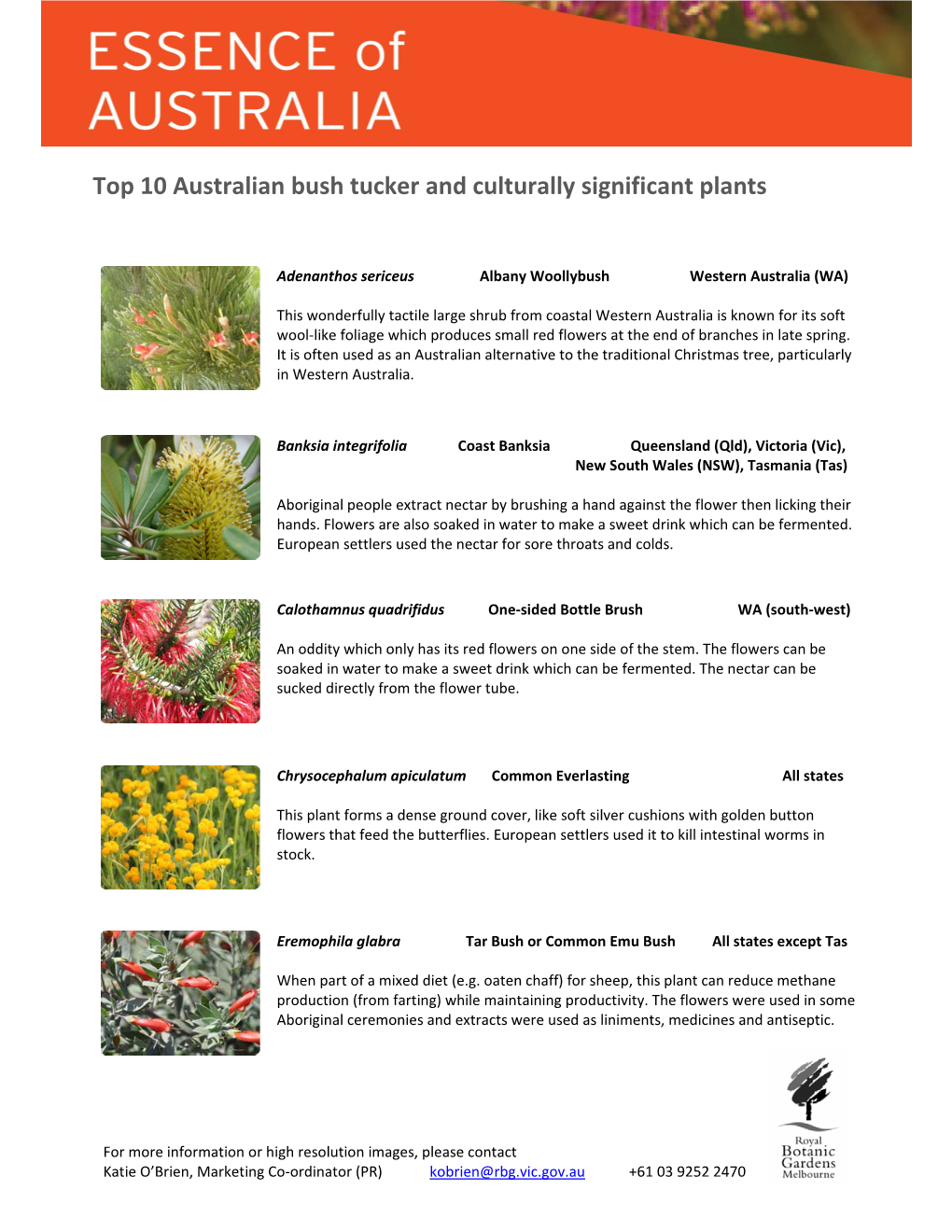 Top 10 Australian Bush Tucker and Culturally Significant Plants