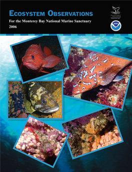 MBNMS Ecosystem Observations 2006