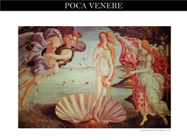 Evidence for a Second Copy of Botticelli's “Birth of Venus”