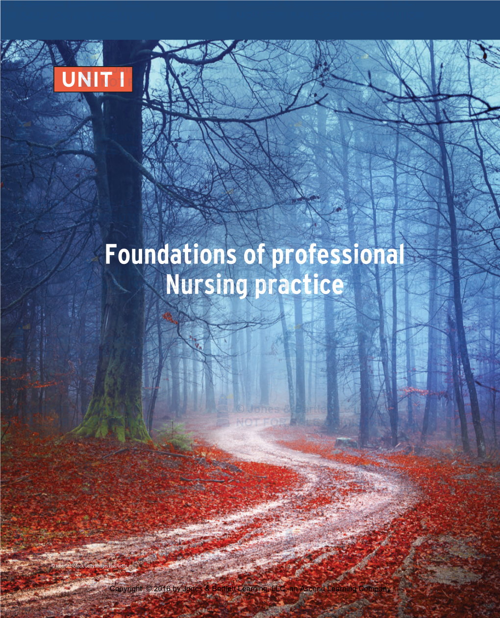 Foundations of Professional Nursing Practice